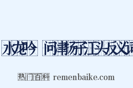 水龙吟·问津扬子江头反义词是什么意思的图片